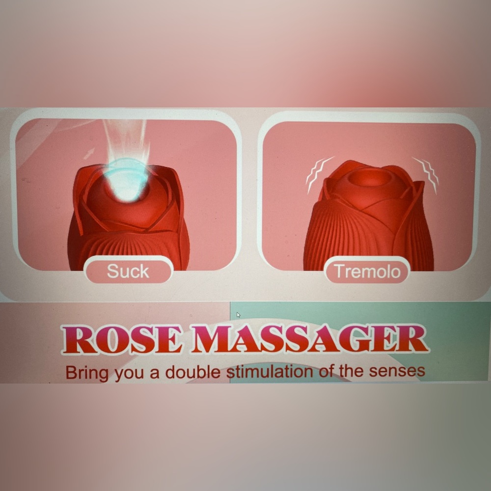 RED ROSE - Picture 6 of 9